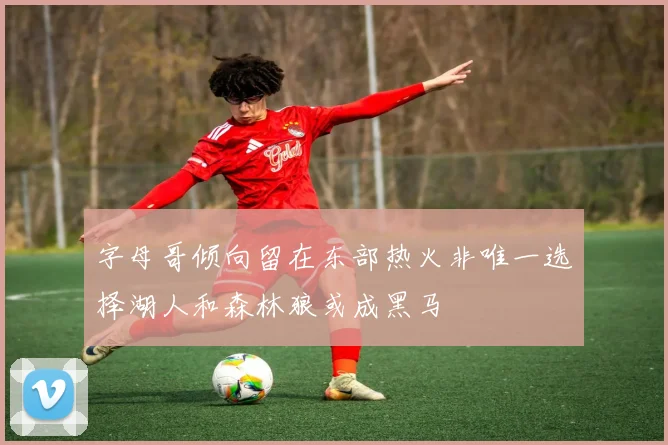 字母哥倾向留在东部热火非唯一选择湖人和森林狼或成黑马