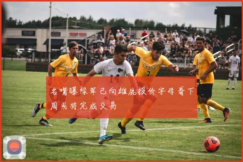 名嘴曝绿军已向雄鹿报价字母哥下周或将完成交易
