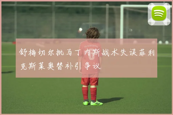 舒梅切尔批马丁内斯战术失误菲利克斯莱奥替补引争议