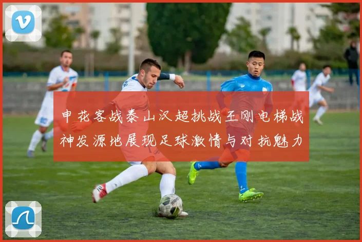 申花客战泰山汉超挑战王刚电梯战神发源地展现足球激情与对抗魅力